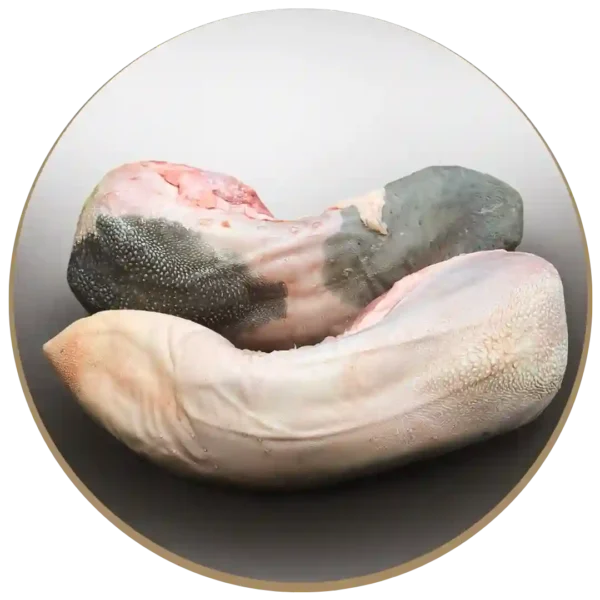 Lingua di scottona - 1,60 kg