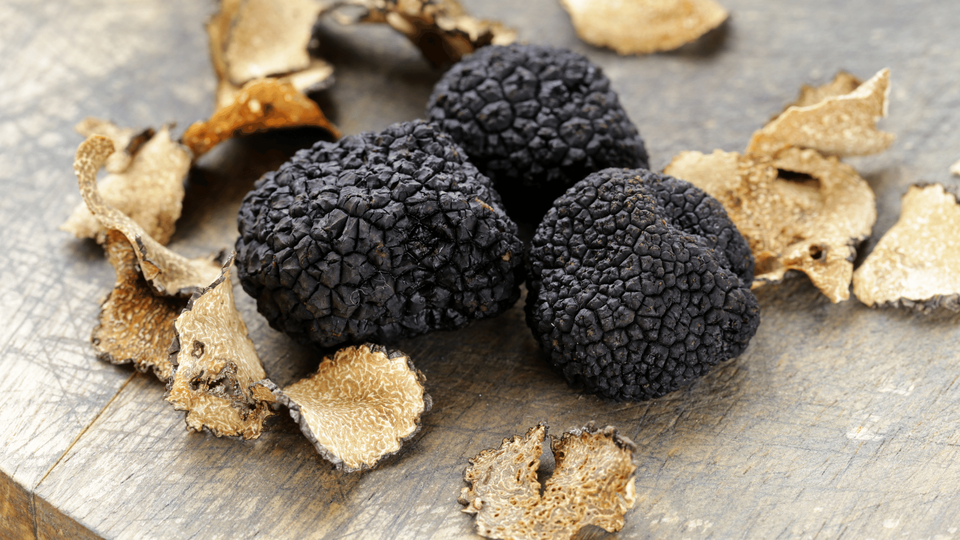 tartufo