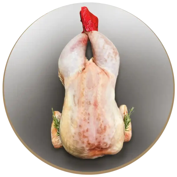 Gallina grande pulita a busto - 3,2 kg