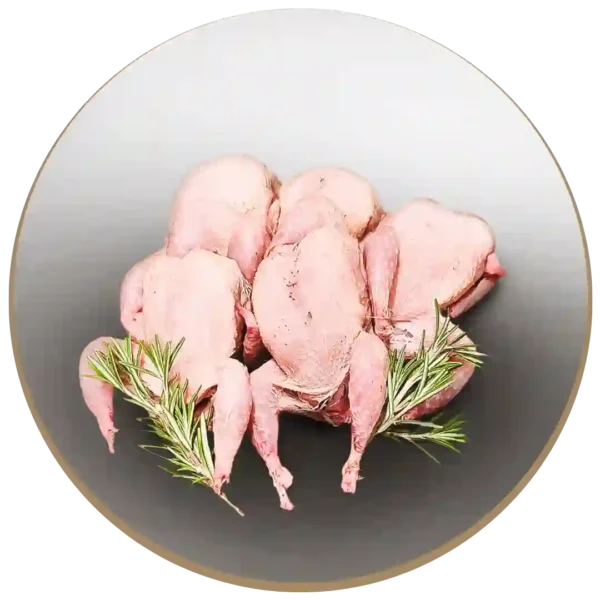 Quaglie fresche pulite eviscerate