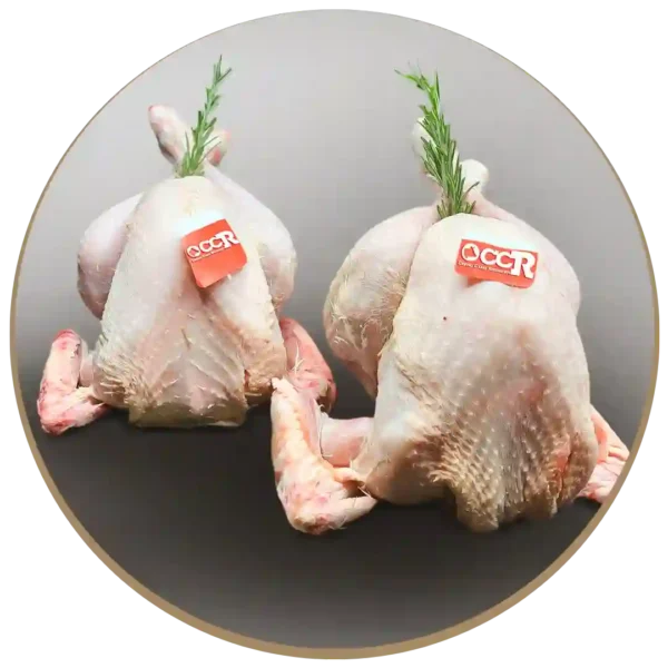 Tacchinella pulita a busto