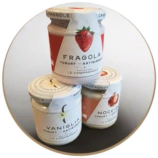 Yogurt Le Campagnole gr. 200